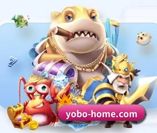 了解yobo体育平台的独特优势 - 体育资讯内容服务