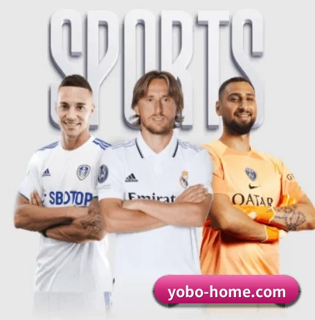 yobo体育平台 APP